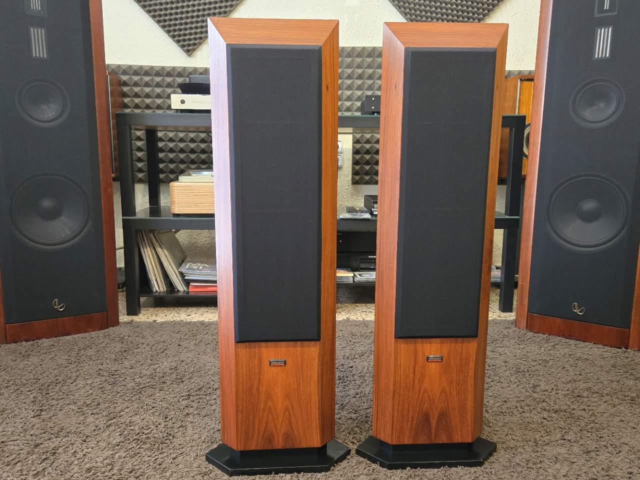 DYNAUDIO FACETTE