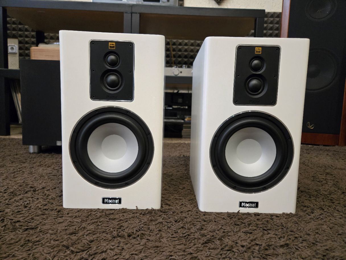 MARTIN LOGAN ASCENT
